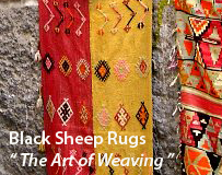 Turkish Rugs and Kilims The Art of Weaving 